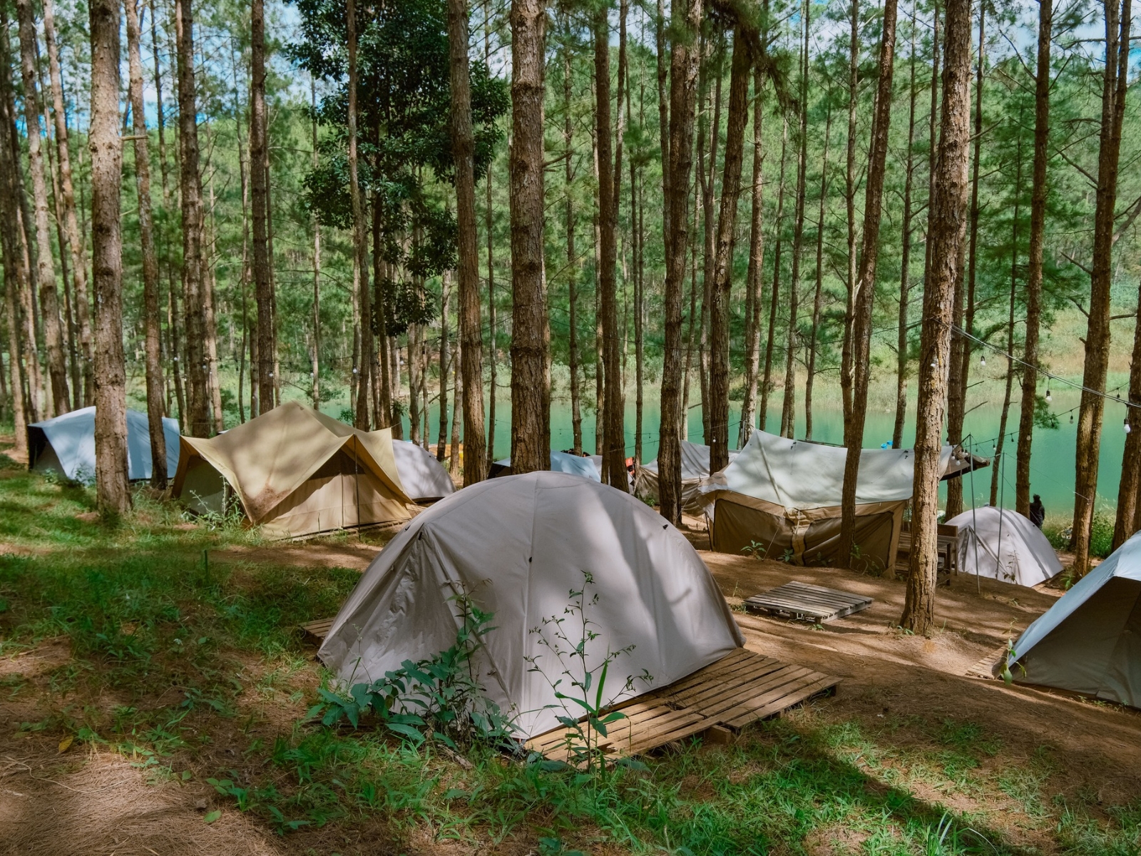 Reo Campsite